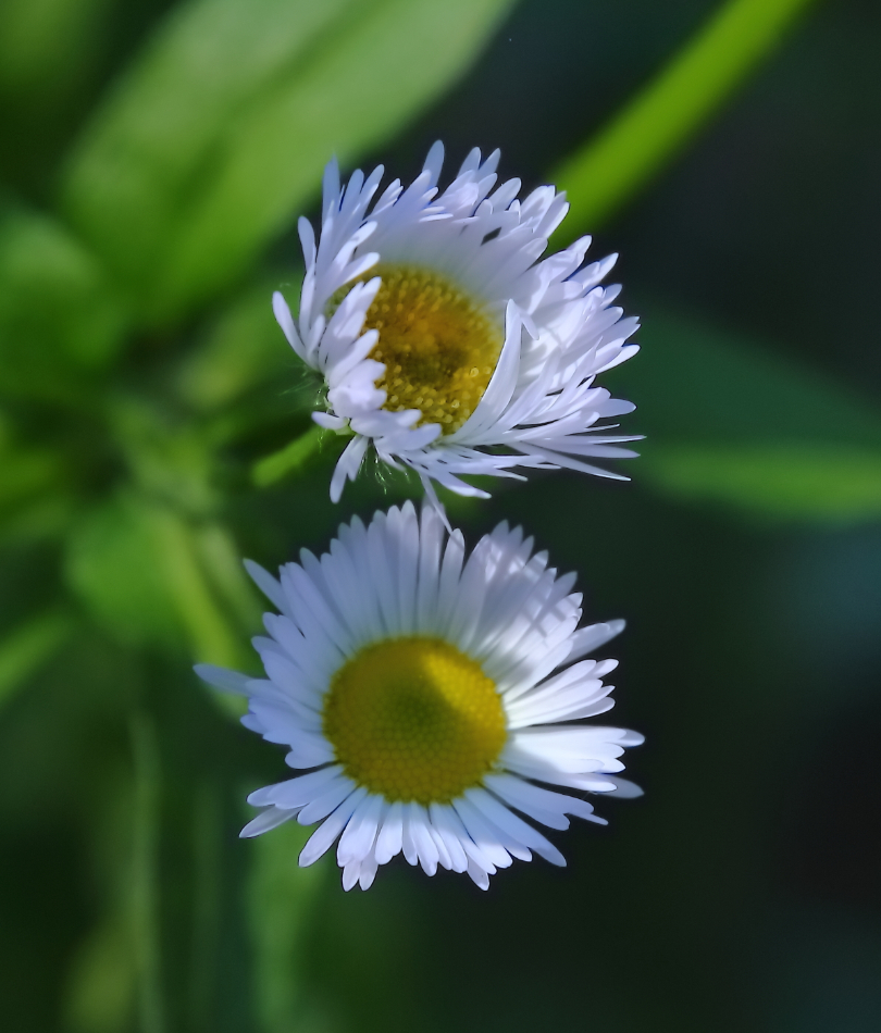 2018 06 12 HTP 27400